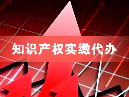 白银知识产权实缴资本代办